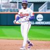 Clemson University Baseballer Paint By Numbers