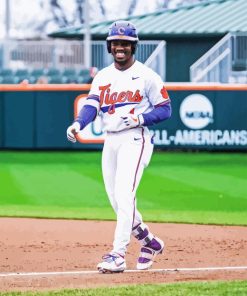 Clemson University Baseballer Paint By Numbers