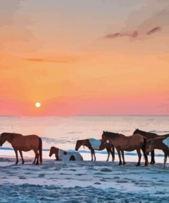 Horses Beach Paint By Numbers