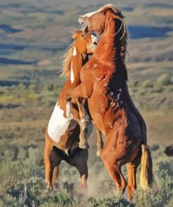 Wild Horses Fighting Paint By Numbers