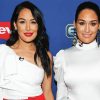 Americans Bella Twins paint by number