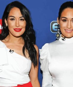 Americans Bella Twins paint by number