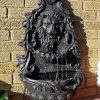 black Lion fountain paint by numbers