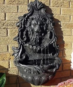 black Lion fountain paint by numbers