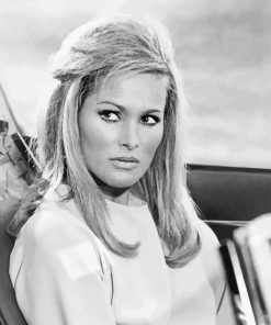 black and white Ursula andress actress paint by numbers