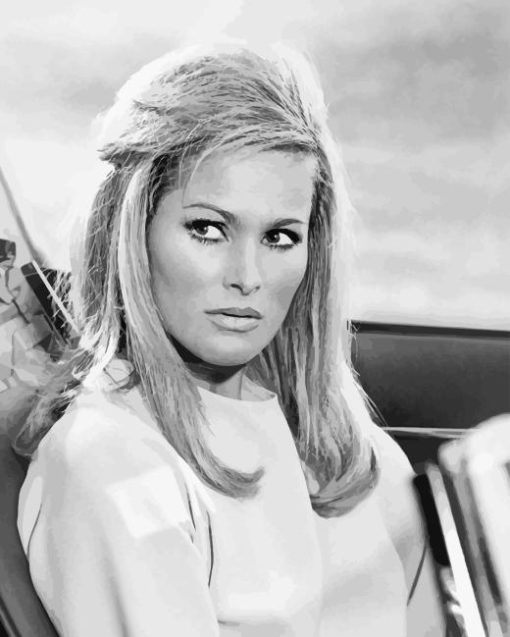 black and white Ursula andress actress paint by numbers