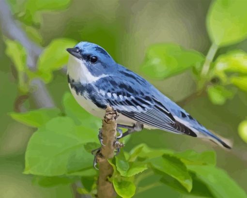 blue cerulean warbler paint by numbers