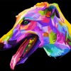 colorful greyhound Pop Art paint by numbers