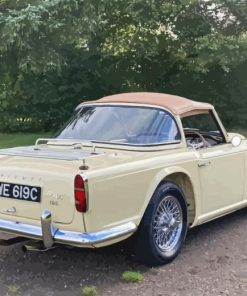 Cream color tr4a car paint by number