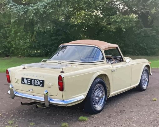 Cream color tr4a car paint by number