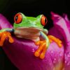 green Frog on a purple tulip paint by numbers